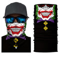 Winter Warmer  Skull Ghost Face Mask Snowboard Windproof